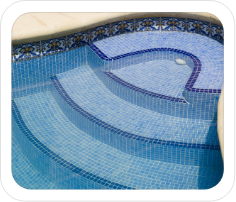 Pool Tile Repair & Installation Photo